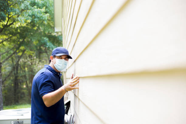 Affordable Siding Repair and Maintenance Services in Wabasha, MN